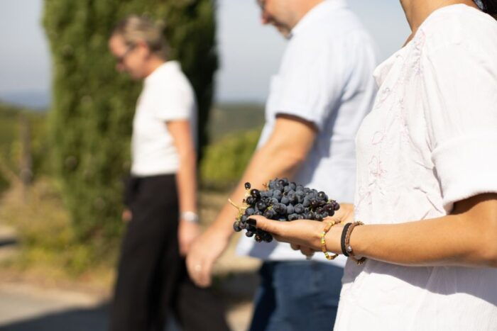 Montalcino: Guided Winery Tour & Gourmet Food Tasting - Directions to Corte Pavone Winery