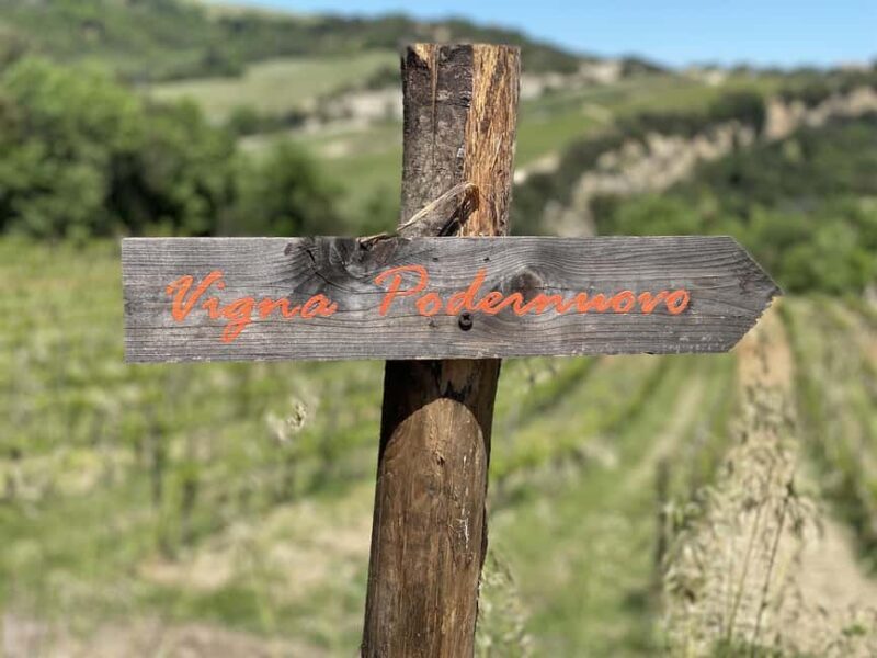 Montalcino: Molino Winery Tour & Wine Tasting - Why This Tour Works Well