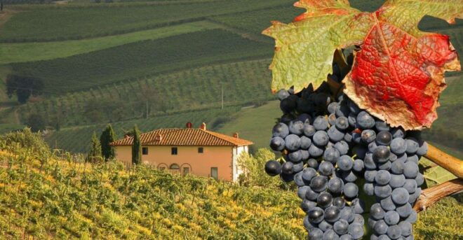 Montalcino Truffle and Wine Tasting Day Tour From Rome - Directions