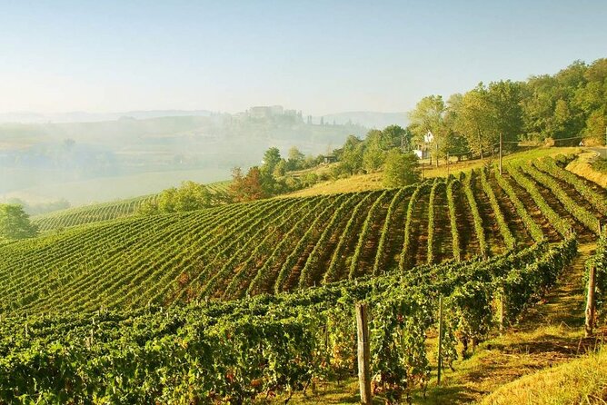 Montalcino Val Dorcia Wine Experience - Transportation Information