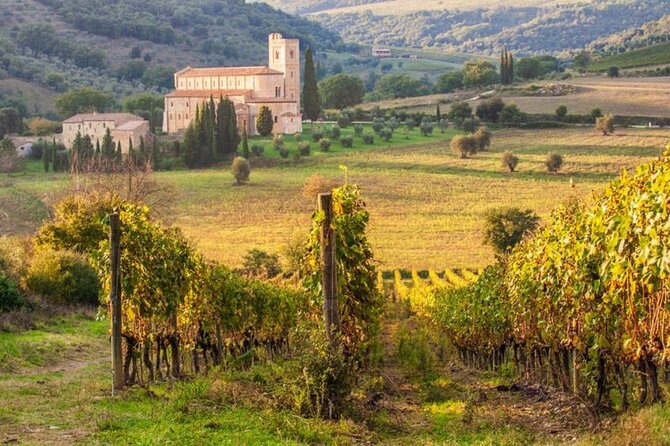 Montalcino Val Dorcia Wine Experience - Operator and Pricing