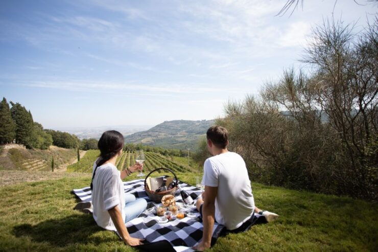 Montalcino: Vineyard Picnic With a Bottle of Wine - Booking Details