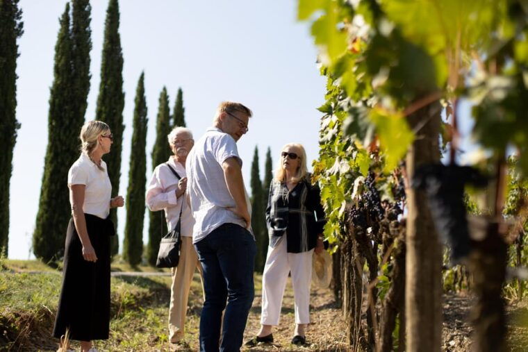 Montalcino: Winery Tour & Gourmet Brunello Vertical Tasting - The Vertical Tasting Experience