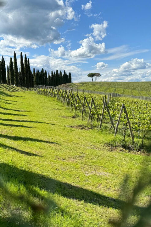 Montalcino:Privat E-Bike Experience Discovering Orcia Valley - Itinerary Highlights