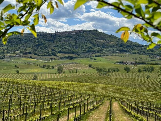Montalcino:Privat E-Bike Experience Discovering Orcia Valley - Additional Services