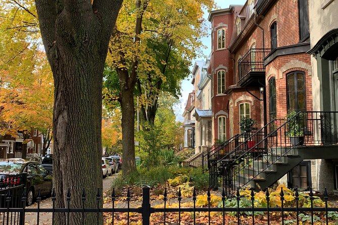 Montcalm & St. Jean Baptiste Districts Walking Tour (2,5h) - Practical Information and Logistics for the Montcalm & St. Jean Baptiste Walking Tour