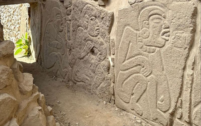 Monte Alban Archaeological Site Half-Day Bus Tour - Guided time, then a chance to look around