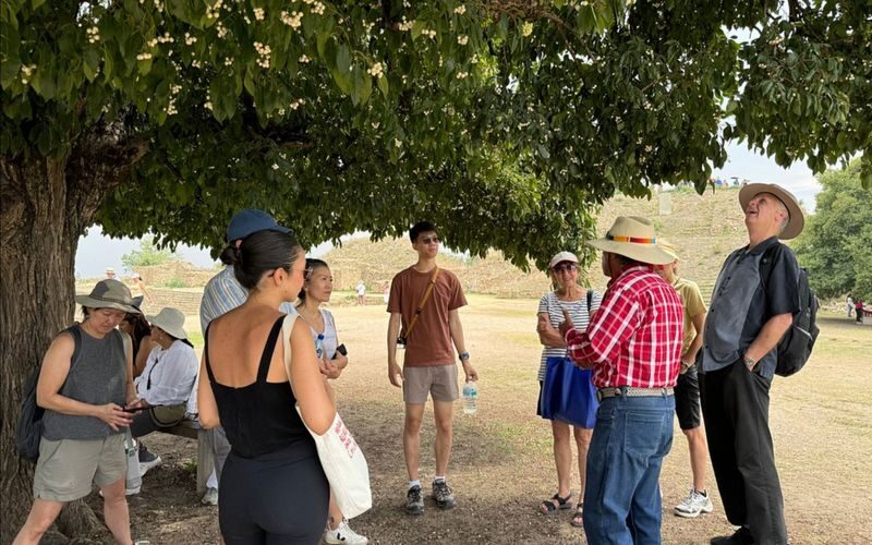 Monte Alban Archaeological Site Half-Day Bus Tour - Is $40.69 good value?