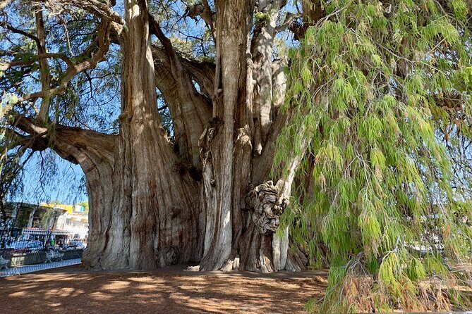 Monte Alban Mitla and More Tour of Oaxaca - The Second Archaeological Site: Mitla — The City of the Dead