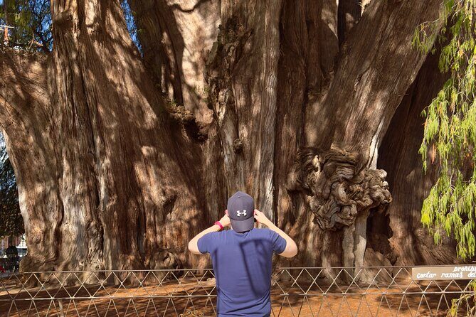 Monte Alban Mitla and More Tour of Oaxaca - Practicalities and What to Expect