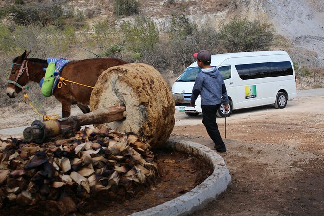 Monte Alban, Teotitlan and Mezcal Tour - Cultural Insights and Local Traditions