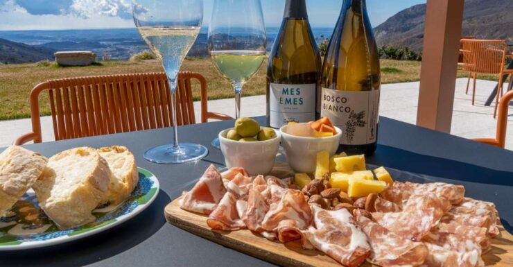 Monte Baldo: Organic Mountain Wines Tour and Tasting - Booking Details