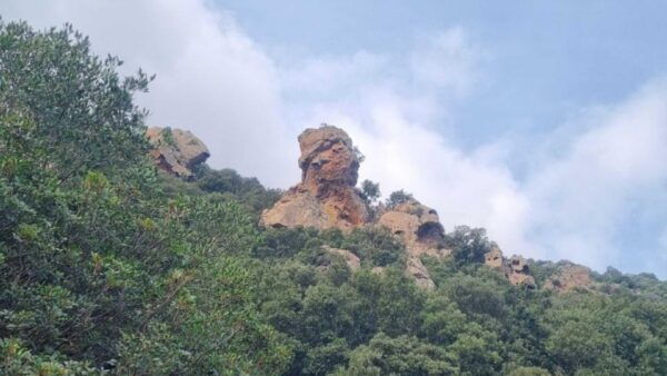 Monte Ferru: Trekking in Sa Perda Stampata - Restrictions and Recommendations