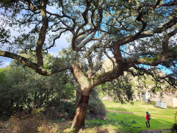 Monte Tiniterra: Guided Hiking Tour - Good To Know