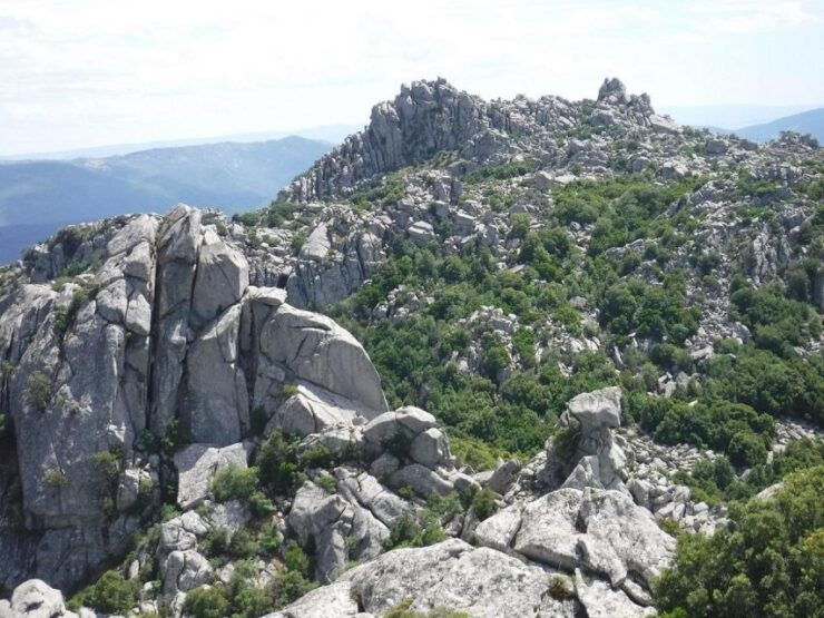 Monte Tiniterra: Guided Hiking Tour - Tour Details