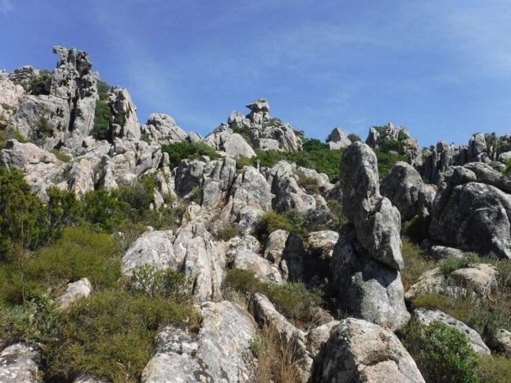 Monte Tiniterra: Guided Hiking Tour - Activity Description