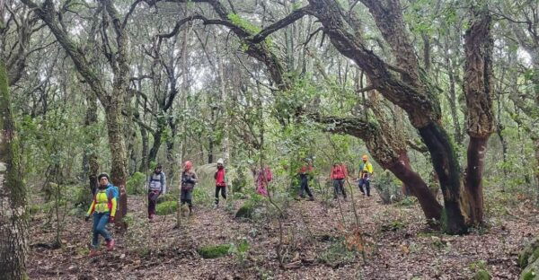 Monte Tiniterra: Guided Hiking Tour - Frequently Asked Questions