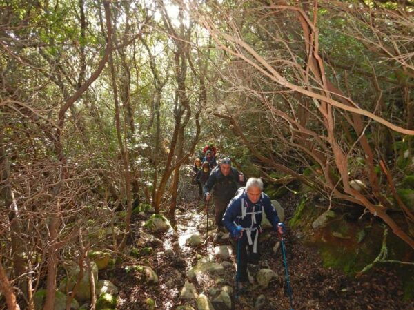 Monte Tiniterra: Guided Hiking Tour - The Sum Up