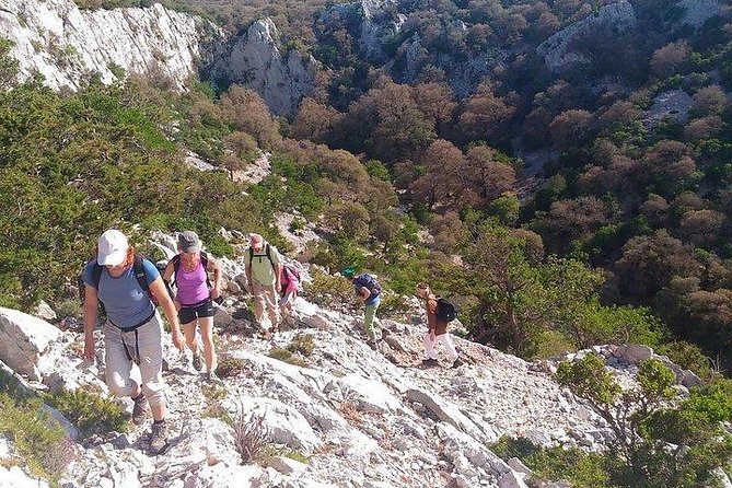 Monte Tiscali Hiking Day Trip From Orosei  - Sardinia - Traveler Reviews