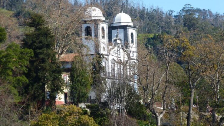 Monte Toboggan Private Tour - Eco-friendly - Tour Details