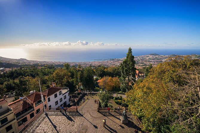 Monte Tropical Garden & Toboggans Private Tuk-Tuk Tour - Cancellation Policy