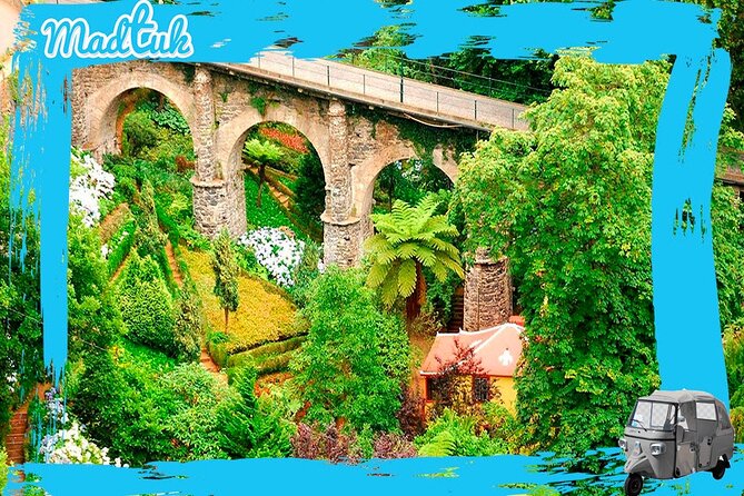 Monte Tuk-Tuk Tour TOBOGGANS - Traveler Photos and Reviews