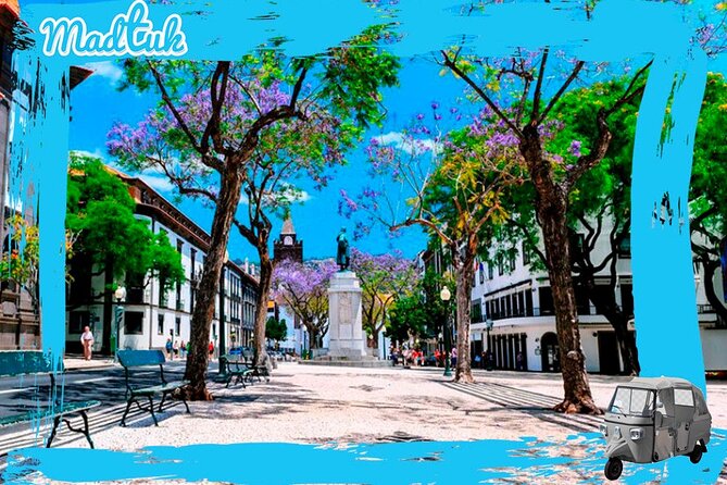 Monte Tuk-Tuk Tour TOBOGGANS - Additional Information and Contact Details