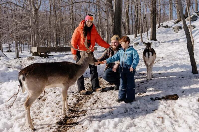 Montebello, QC: General Admission to Parc Omega - Introduction