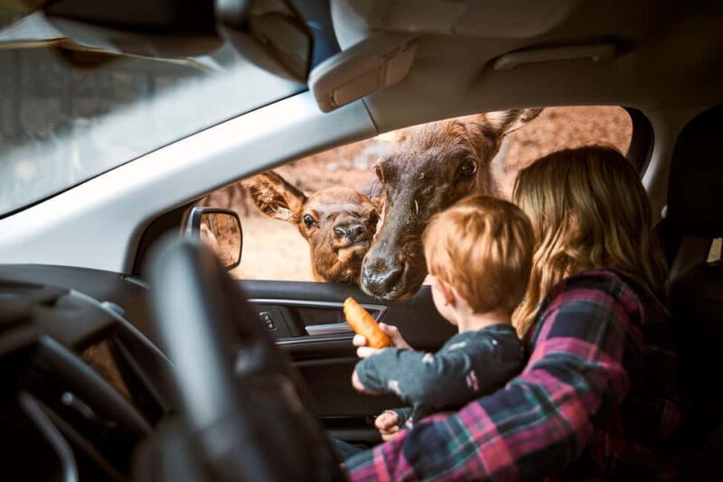 Montebello, QC: General Admission to Parc Omega - The Cultural and Historical Trails