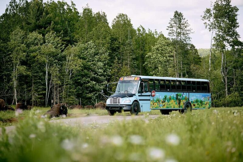 Montebello, QC: Morning VIP Tour at Parc Oméga - An In-Depth Look at the Parc Oméga VIP Morning Tour