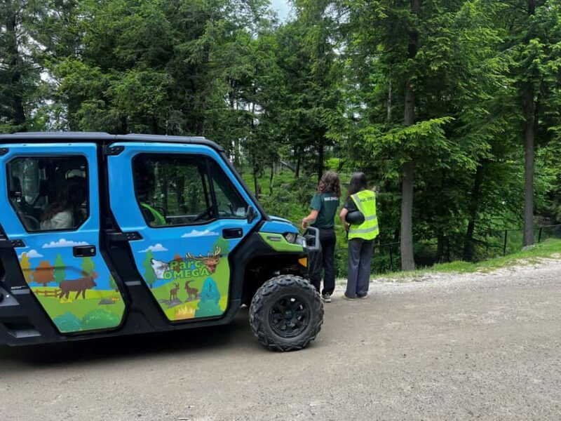 Montebello, QC: Omega Park Guided Animal Feeding in All-Terrain Vehicle - Authentic Insights from Visitors