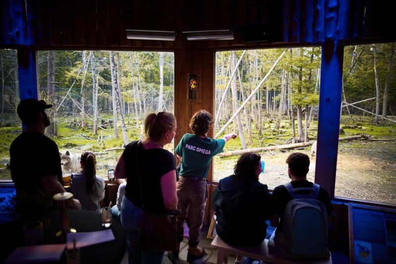 Montebello, QC: Parc Omega Wolves Experience with Cocktail & Guide - The Sum Up