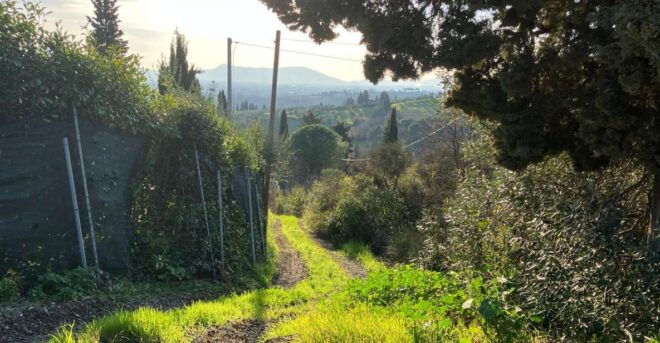 MONTECATINI TERME - E-BIKE ADVENTURE IN VAL DI NIEVOLE - Route Description