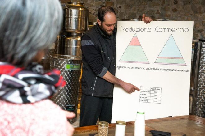 Montecatini Terme: Olive Grove Tour With Oil Tasting - Full Description