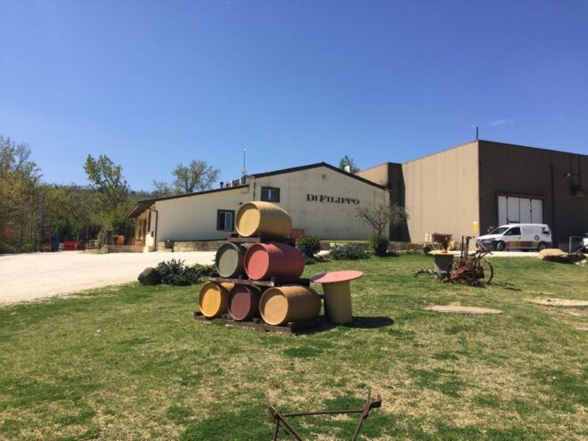 Montefalco and Bevagna Wine Tasting Full-Day Tour - Inclusions and Extras