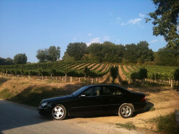 Montefalco and Bevagna Wine Tasting Full-Day Tour - Customer Reviews and Ratings