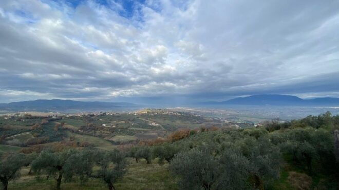 Montefalco: Guided Tour With Vineyard Visit and Lunch - Full Tour Description