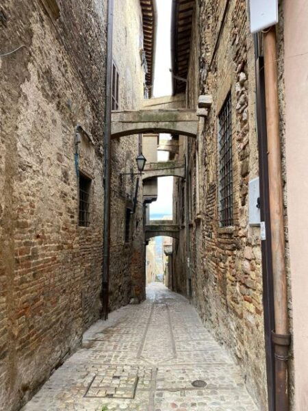 Montefalco: Guided Tour With Vineyard Visit and Lunch - The Sum Up