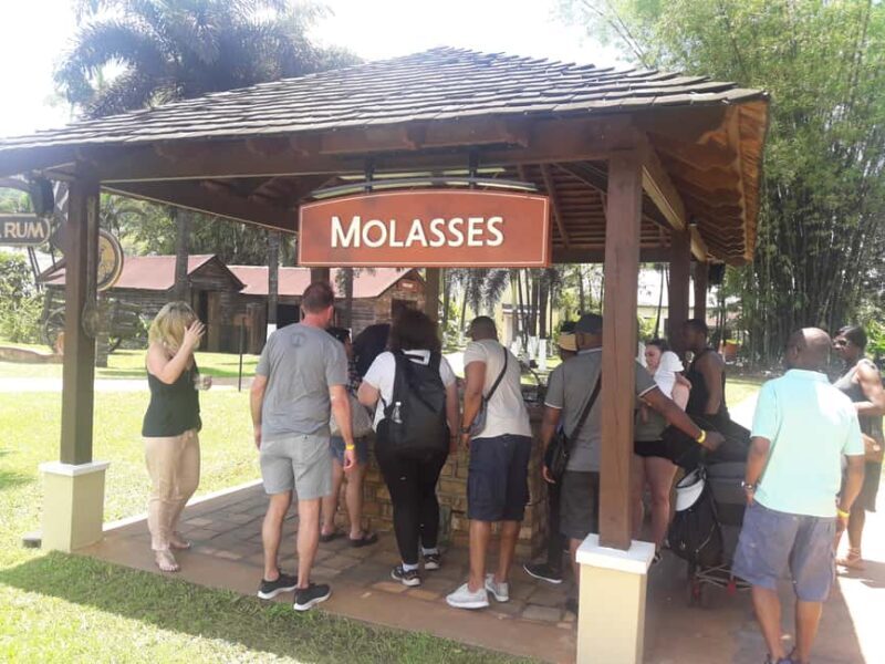 Montego Bay: 8-Hour Appleton & Pelican Bar Return Transfer - Introduction