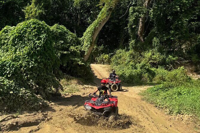 Montego Bay Adventure Day: ATV, Zip-lining & Horseback Riding Fun - A Deep Dive Into the Adventure Experience