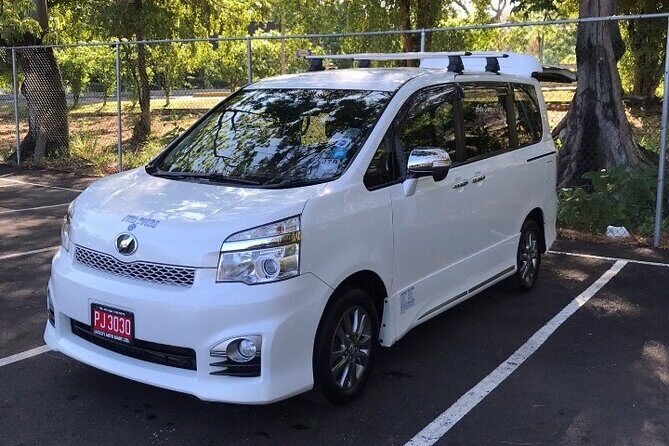 Montego Bay Airport Taxi to Princess Grand Jamaica Green Island - Why Choose This Transfer Service for Your Jamaica Trip?
