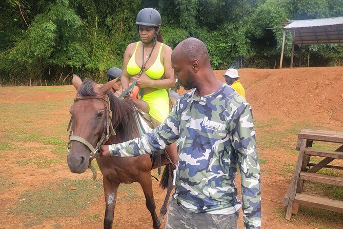 Montego Bay Airport Transfer-Excellence, Royalton, Eden Bay - Final Thoughts: Who Should Book This?