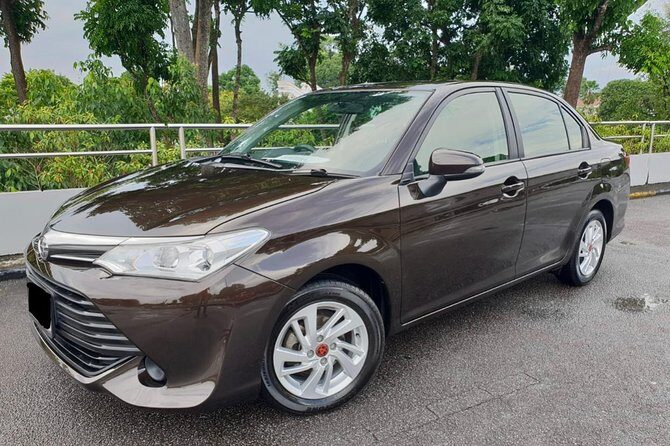 Montego Bay Airport Transfers To and From Montego Bay Hotels - Final Thoughts