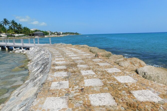 (Montego Bay Area)Private Custom Design Transportation One Way - Traveler Photos, Reviews, and Questions