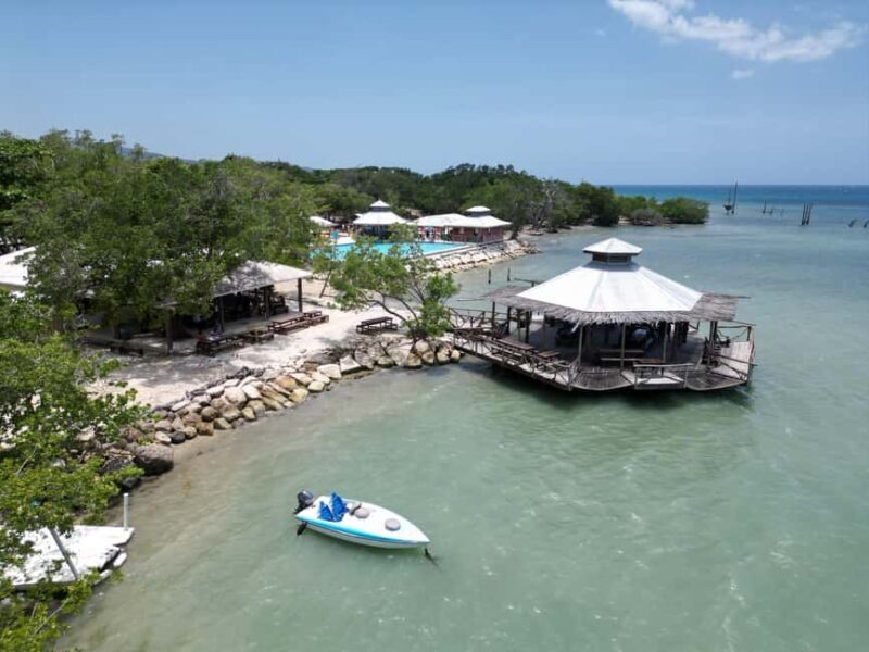 Montego Bay: ATV, Zipline, Catamaran, and Horseback Tour - Lunch with a View: Jamaican Flavors and Refreshments