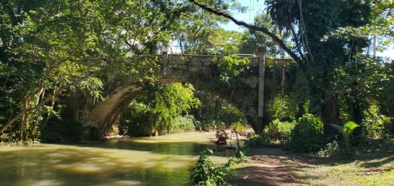 Montego Bay: Bamboo Raft Cruise on the Great River - Final Thoughts