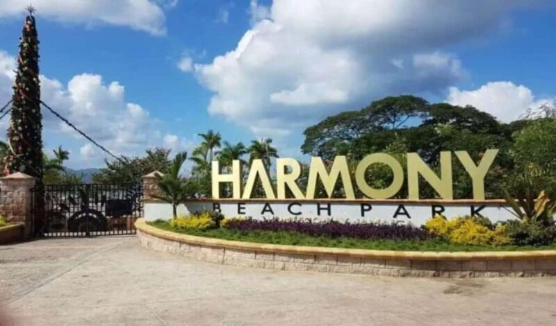 Montego Bay: Bamboo Rafting, Food Tour, and City Tour - Good To Know