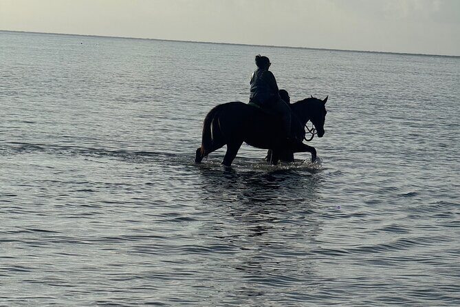 Montego Bay Beach Horseback Riding Tour - Why You’ll Love the Scenery and the Vibe