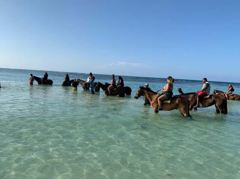 Montego Bay: Blue Hole & Horseback Riding Adventure - What to Expect from the Tour