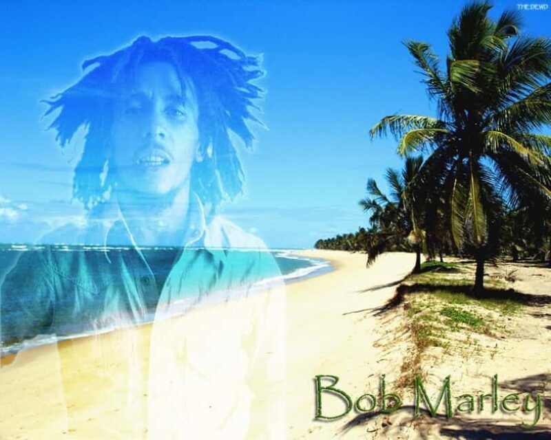Montego Bay: Bob Marley Tour to 9 Mile, St. Ann - Good To Know